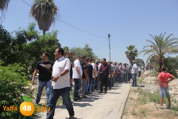 jaanzaa 0501 (57).JPG